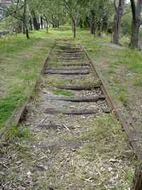 Las vías abandonadas Las vías abandonadas