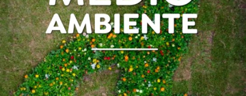 Avellaneda reafirma su compromiso ambiental en el Día Mundial del Medio Ambiente